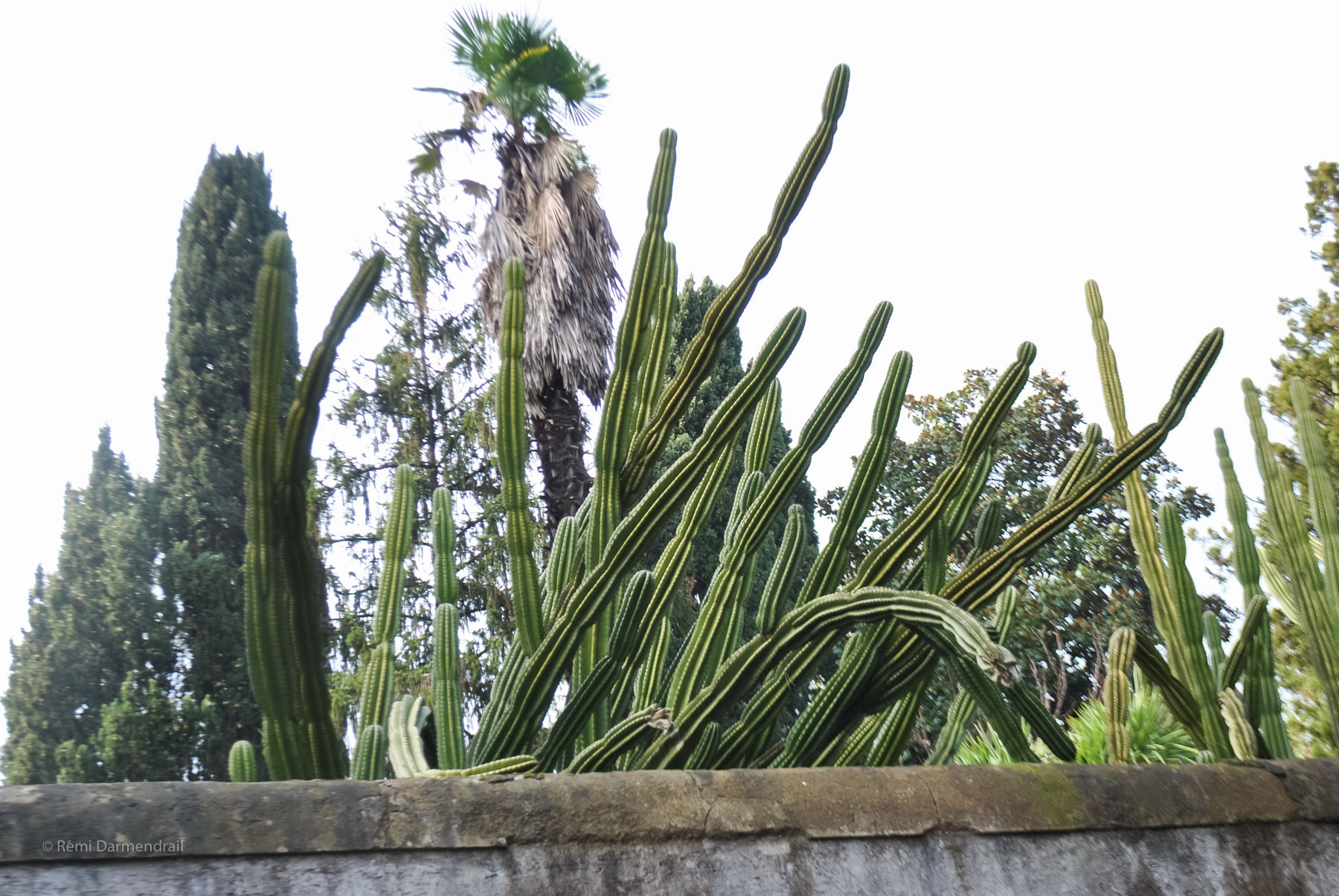 Nom de l'image : 2016_02_15 10-57-43a — Description :